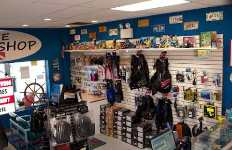 The Dive Shop The Dive Shop